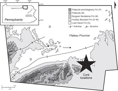Remagnetization of Marcellus Formation in the Plateau Province of the Appalachian Basin